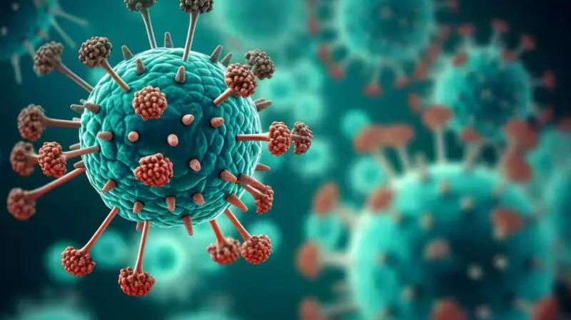 HMPV Virus Detected in India: Two Cases Reported in Bengaluru, Says ICMR